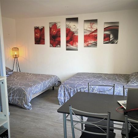 Studio Double 11 Avec Wifi Лимож Экстерьер фото